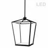 Dainolite Cage Chandelier - 12-Light - 20-in - Matte Black