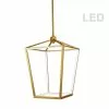 Dainolite Cage Chandelier - 12-Light - 20-in - Aged Brass -Dainolite Sales 330730786 MainImage 001