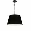 Dainolite Brynn Pendant Light - 1-Light - 14-in X 7-in - Black