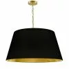 Dainolite Brynn Pendant Light - 1-Light - 26-in X 13-in - Aged Brass/Black And Gold -Dainolite Sales 330733780 MainImage 001