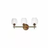 Dainolite Abii Vanity Light - 3-Light - 18.2-in - Vintage Bronze And Clear Glass -Dainolite Sales 330733882 MainImage 001
