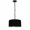 Dainolite Braxton Transitional Black And Silver 14-in Pendant Light