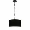 Dainolite Braxton Transitional Black 14-in Pendant Light -Dainolite Sales 330844854 MainImage 001