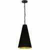 Dainolite Anaya Transitional Black And Gold 12-in Pendant Light -Dainolite Sales 330844919 MainImage 001