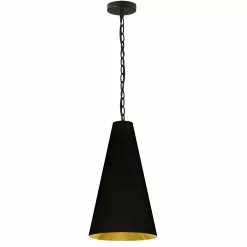 Dainolite Anaya Transitional Black And Gold 12-in Pendant Light