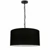 Dainolite Braxton Transitional Black 20-in Pendant Light