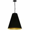 Dainolite Anaya Transitional Black And Gold 20-in Pendant Light -Dainolite Sales 330845342 MainImage 001