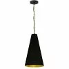 Dainolite Anaya Transitional Drum Black And Gold 12-in Pendant Light 2 Dainolite Anaya Transitional Drum Black And Gold 12-in Pendant Light -Dainolite Sales 330845365 MainImage 001