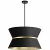 Dainolite Caterine 24-in Black 4-Light Transitional Pendant Light 2 Dainolite Caterine 24-in Black 4-Light Transitional Pendant Light -Dainolite Sales 331051861 MainImage 001