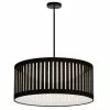 Dainolite Slit Drum 20-in Black 1-Light Modern/Contemporary Pendant Light -Dainolite Sales 331051863 MainImage 001