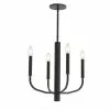 Dainolite Eleanor 4-Light Black Transitional Chandelier -Dainolite Sales 331051897 MainImage 001
